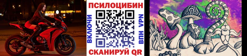 Купить  Ак-Довурак  Галлюциногенные грибы Cubensis 